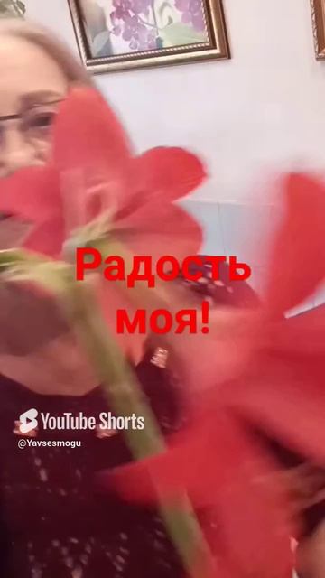 #Shorts  #Цветы  #Радость