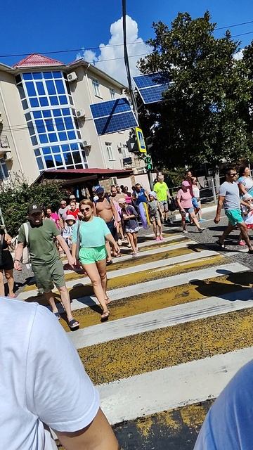 Успеть перейти дорогу за 20 секунд, Лазаревское Сочи, выжить на дороге