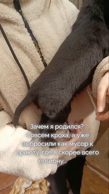 родился, чтобы погибнуть💔