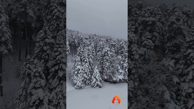 Что скрыто в законах природы?