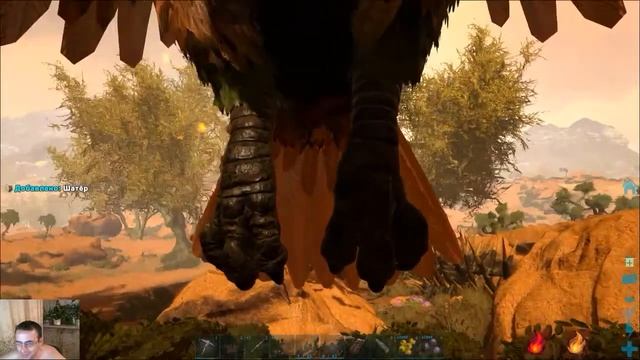 ARK перед сном