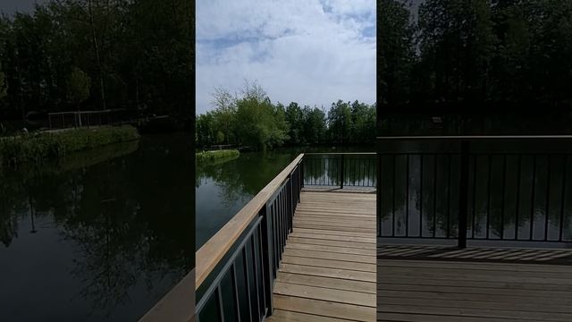 Прекрасная прогулка в Новый Парк ЖК 8 Клёнов🌞Таисия, мама и папа в эфире ❤️ МАЙ25