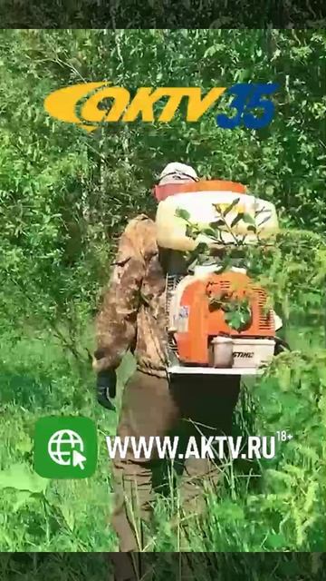 АКТВ Вести Shorts 30.05_0001