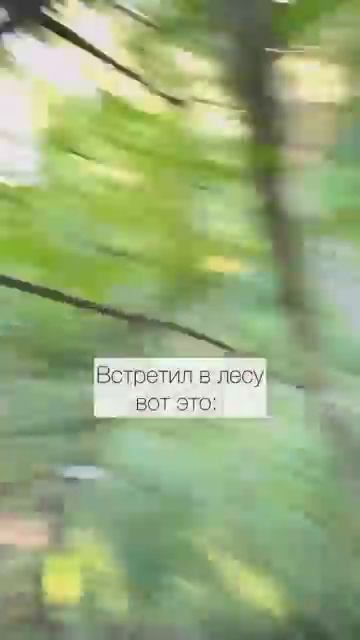 Павлов Family (1183)