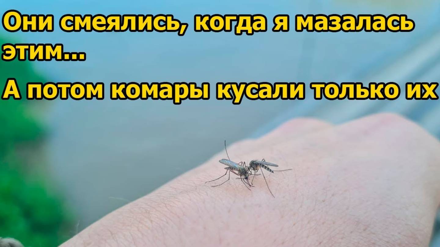 Комары и мошка исчезли! 2 проверенных способа, которые реально работают — проверила на себе! 🦟🔥