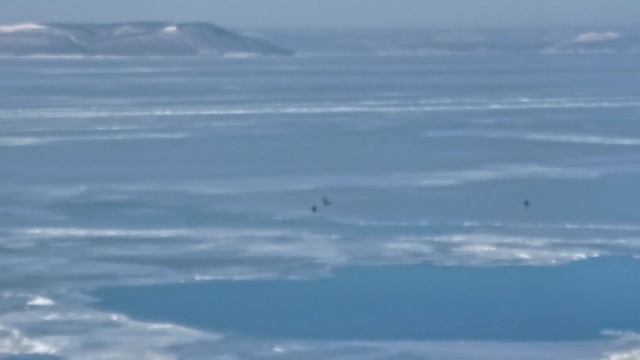 VID_20230102_131802