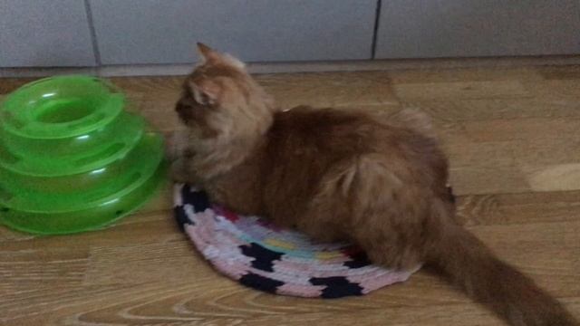 Зачем вязать такой коврик