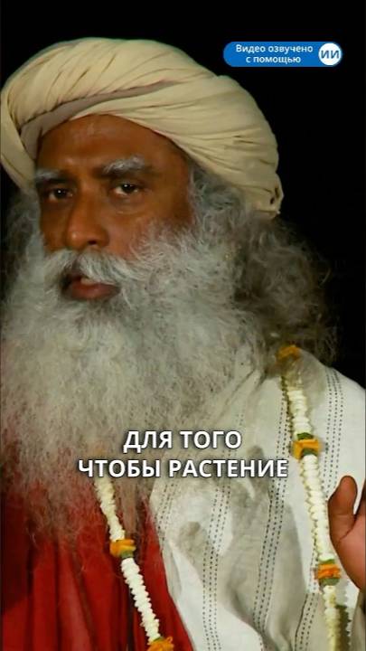 Семь месяцев, которые могут изменить вашу жизнь