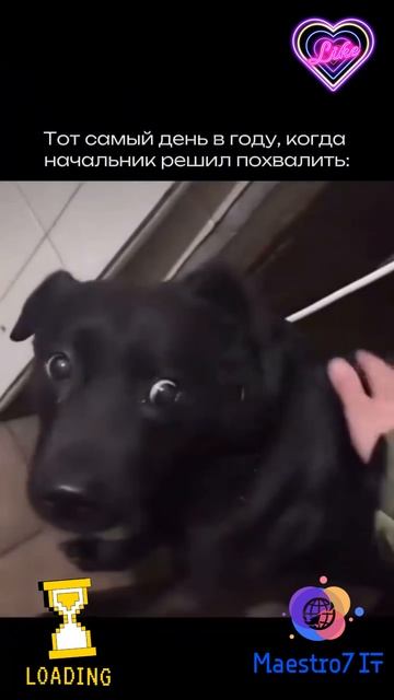 💻 День, когда начальник собрался похвалить
