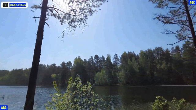 Видеообзор про озеро Светлое (4К) #юныйпрадедбодрыйдед #бодрыйдедза65лет #производствостанков