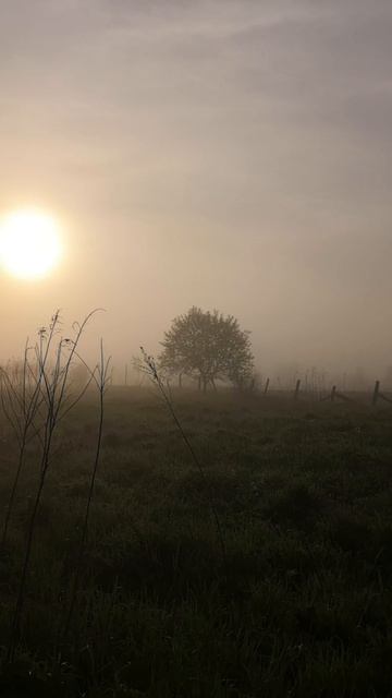 Красота природы, рассвет