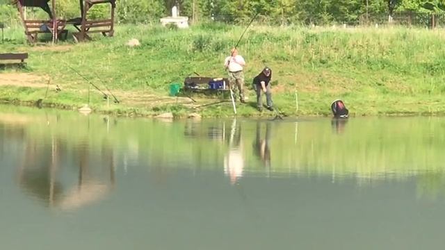 поимка сома на малом водоёме