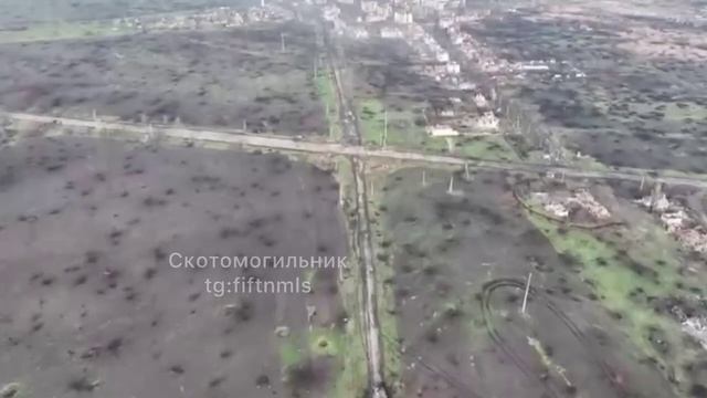 Массовый падешь скота
