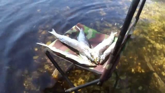 Волшебный стул исполняющий желания.