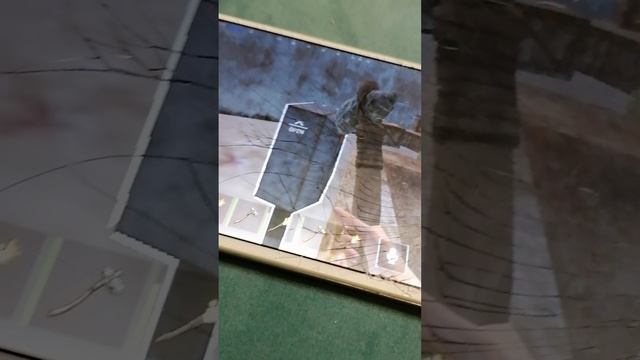 Последний день весны