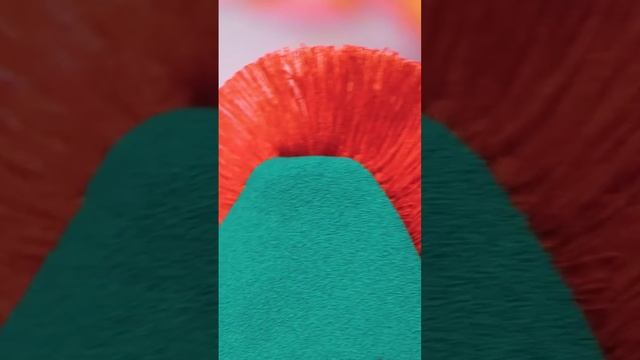 Дайте вашей одежде второй шанс ♻️👕