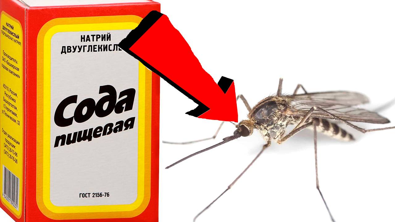 Как избавиться от комаров За 3 Секунды...!!..!!..!!.