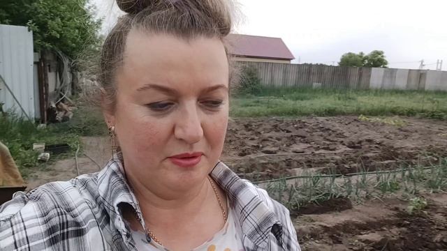 ПОСАДИЛА КАПУСТУ. СОСТОЯНИЕ ГУСЯТ СТАБИЛЬНОЕ. ПРОРЫХЛИЛА РАСТИШКИ