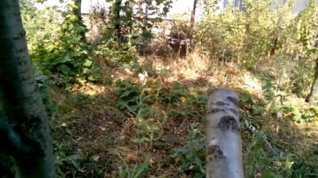 Майнкрафт в реальной жизни 1