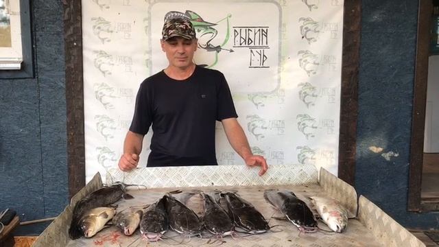 итоговый улов у Эльдара на малом водоёме