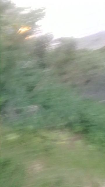 1000015222.mp4
