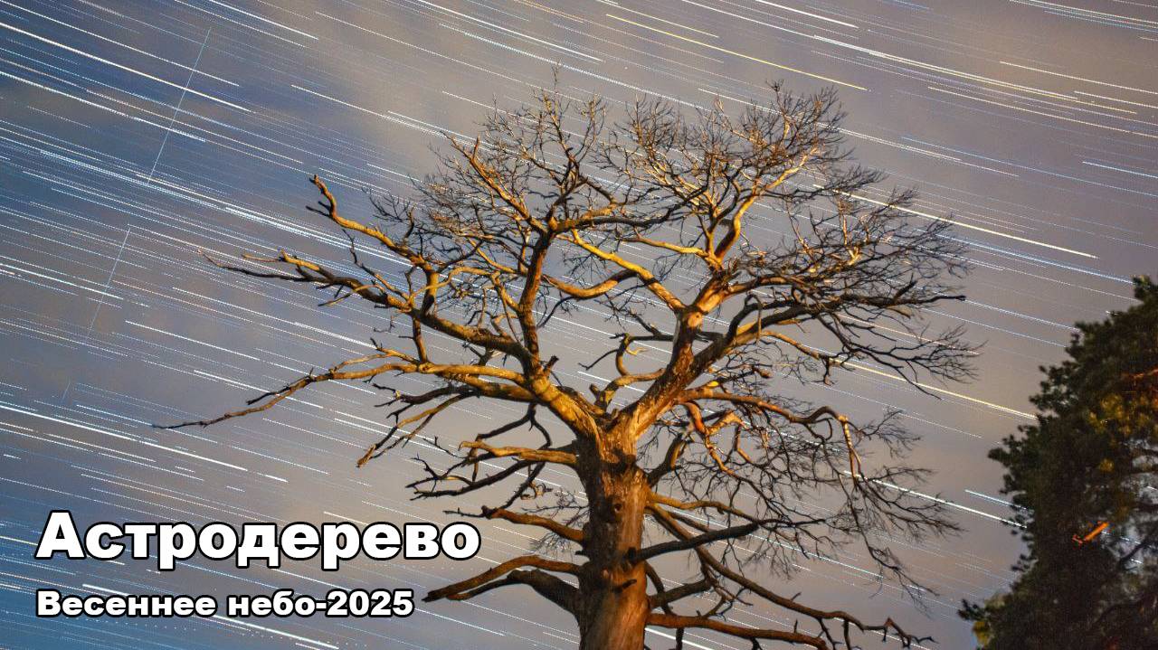 Астродерево. Весенние звезды-2025