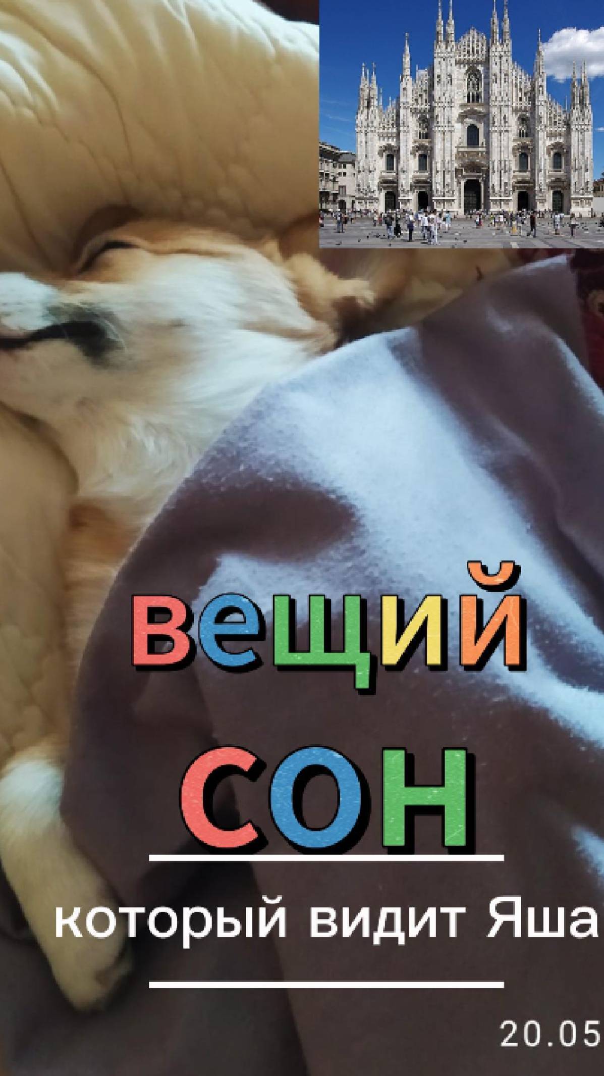 Вещий сон!