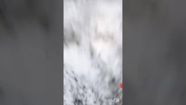мои друзья нашли сгоревшую машину 😱😱😱😱😱😱😱