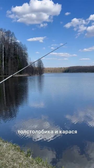 Ждём всех на рыбалку в Сафари-парк