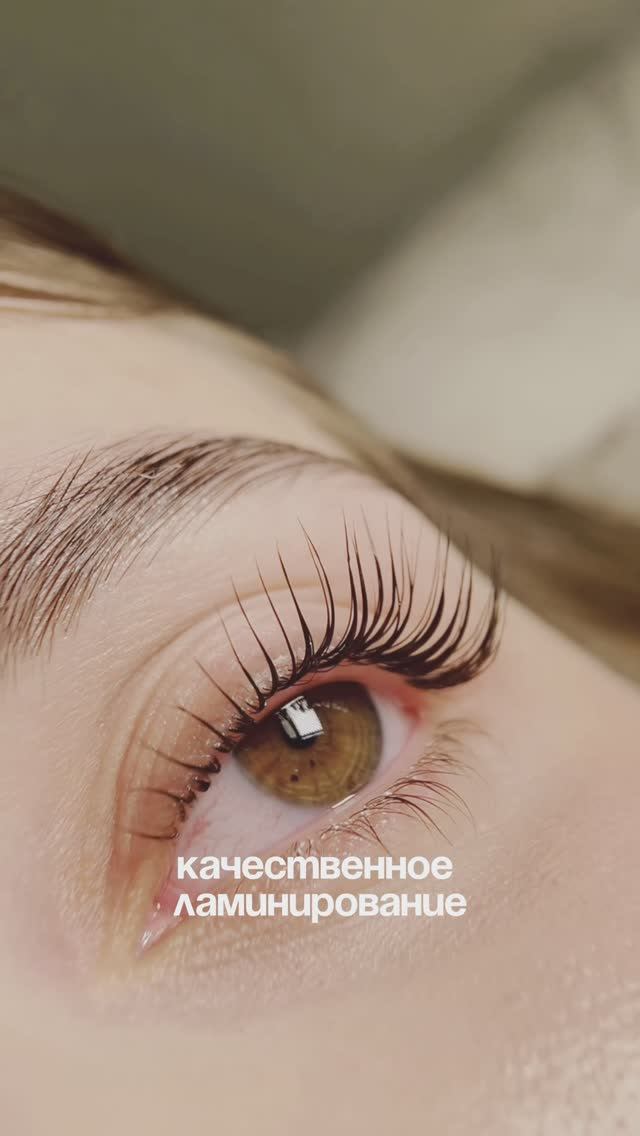Обучение по ламинированию ресниц