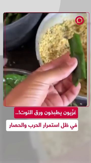 بعد الحصار وانقطاع إمدادات الغذاء.. غزيّون يطبخون ورق التوت!