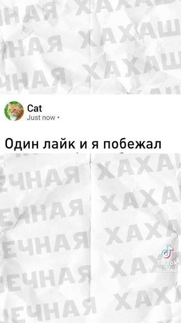 Мемы #4