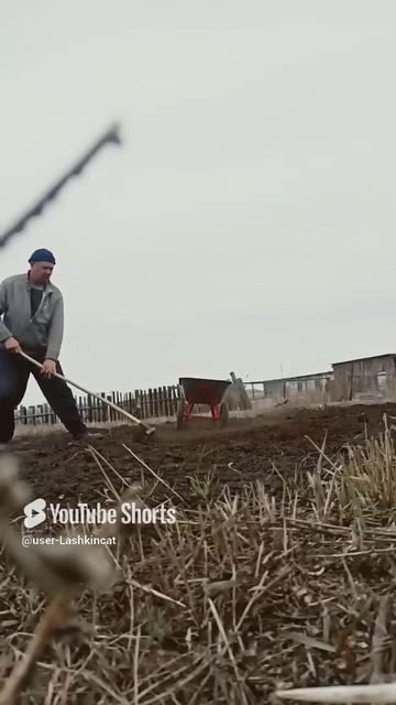 Танцы в огороде! 👍.mp4