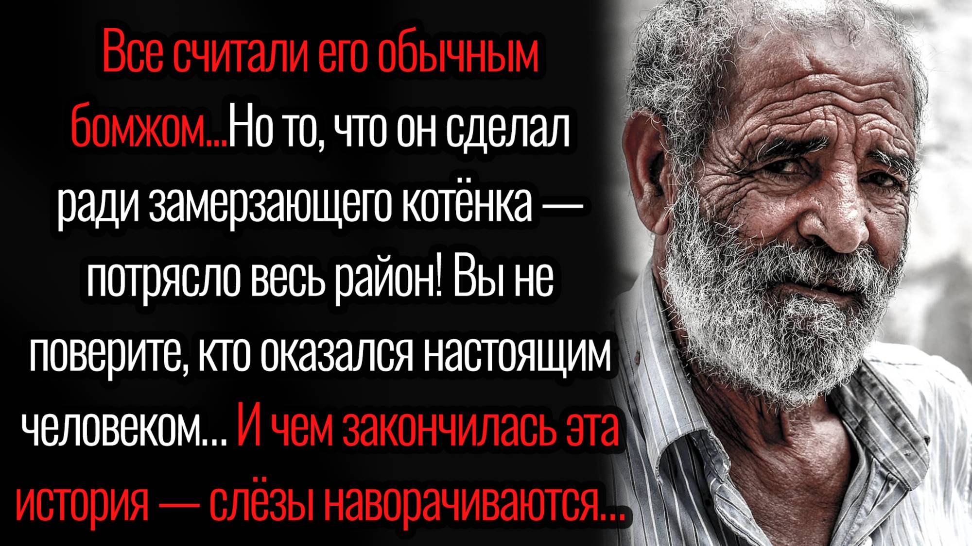 Истории из жизни. "Бездомный ангел". Аудио рассказы