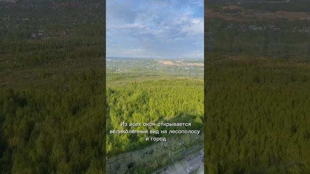 Обзор большой квартиры Анкудиновский Парк
