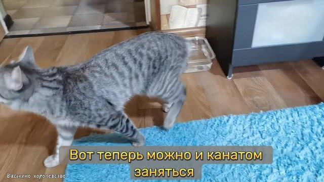 Спасибо всем, кто советовал закрепить канат к полу