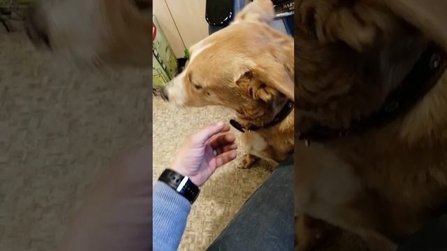 1000023875.mp4