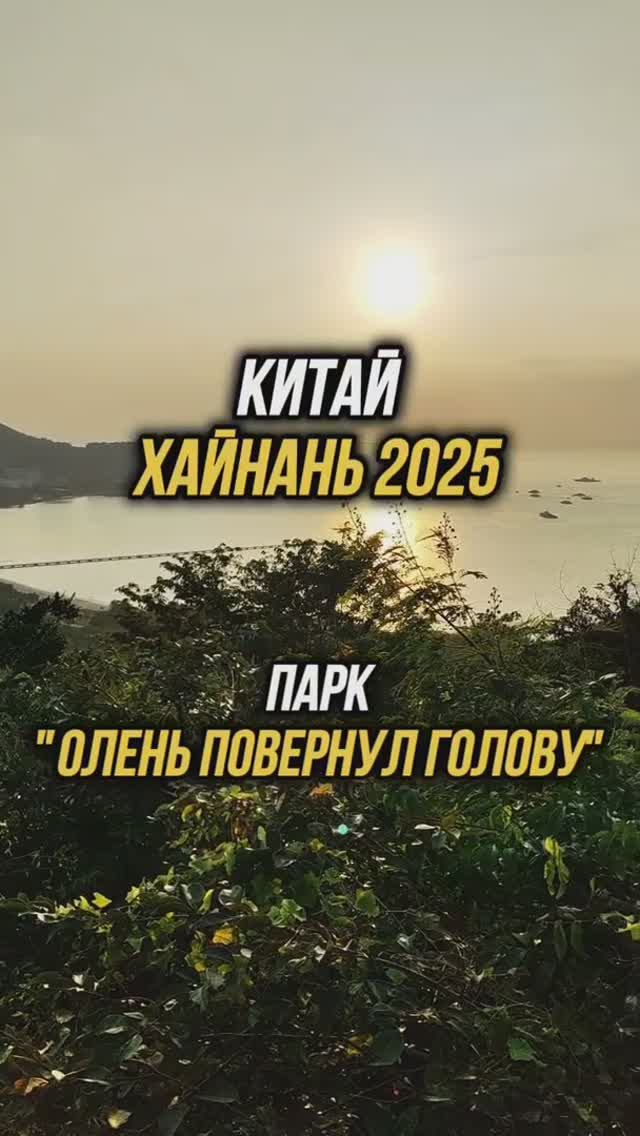 #Хайнань2025 🏝️ Парк "Олень повернул голову" 🌇 Вход бесплатно по паспорту👍 #путешествия #физрукпа