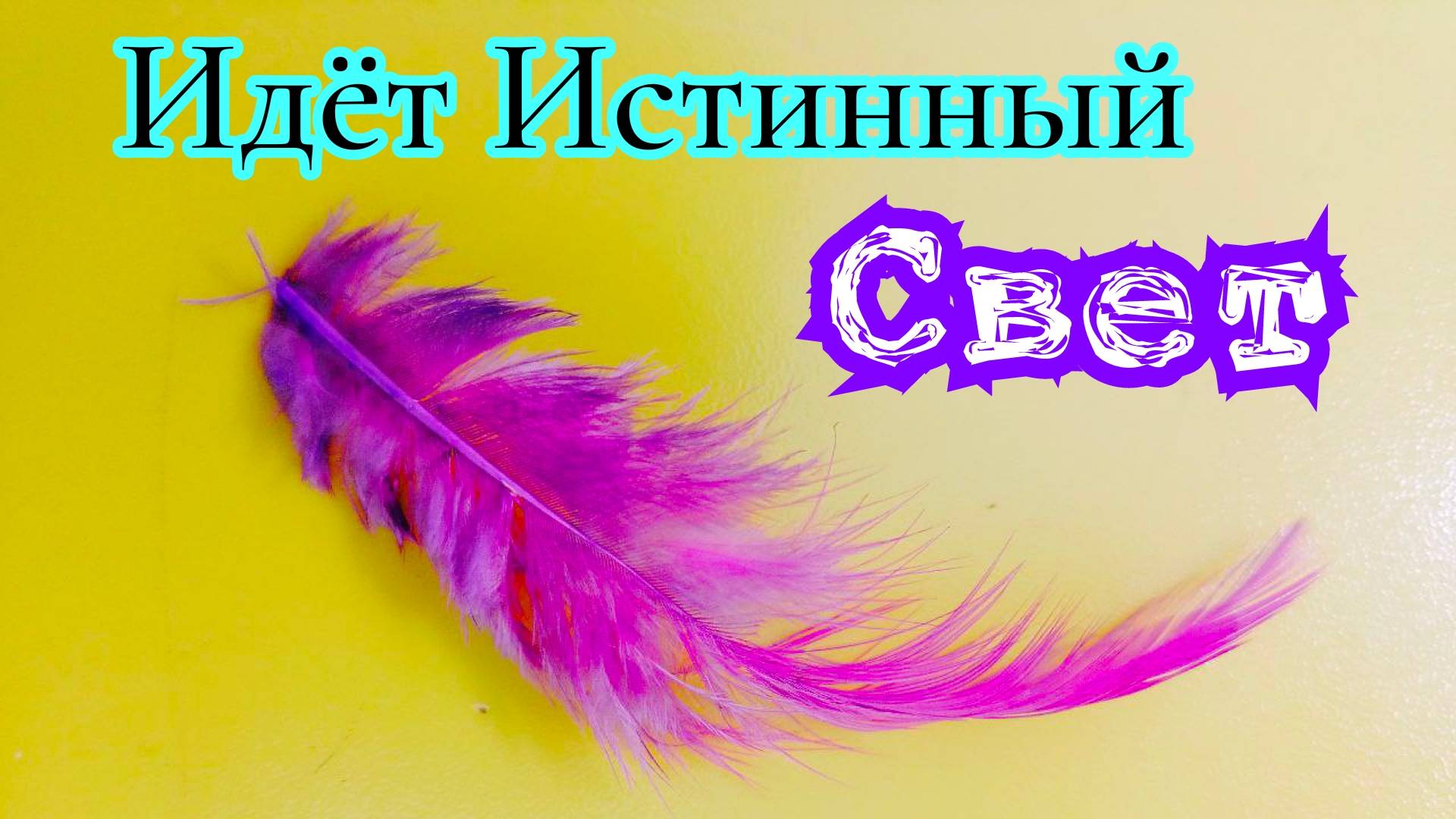 Идёт истинный Свет. 31.05.25г.