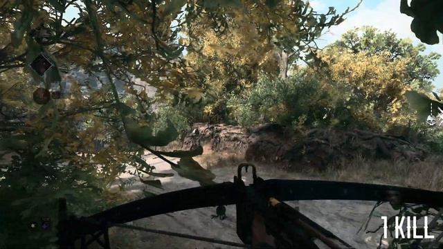 Ваншот как секрет победы | Hunt:Showdown 1896
