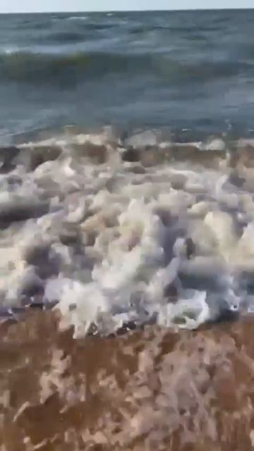 Мы приехали на Озовское море🌊🌊🌊