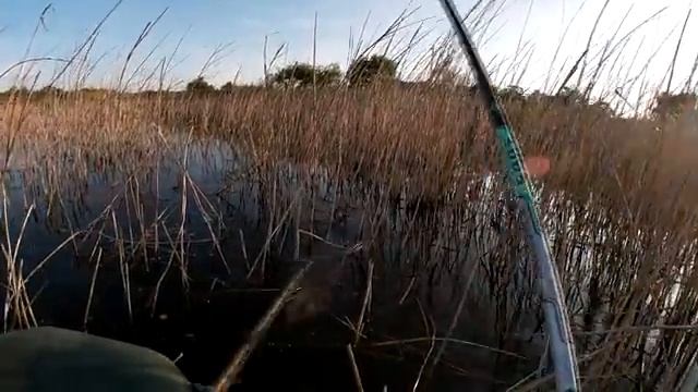 Рыбалка. Клюнул самый большой карась , которого я ловил. My fishing