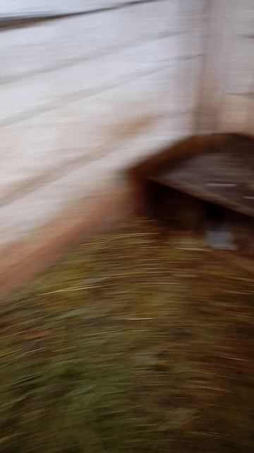 1000010185.mp4