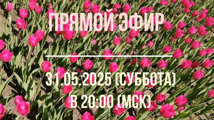 Анонсы эфира 31.05.2025