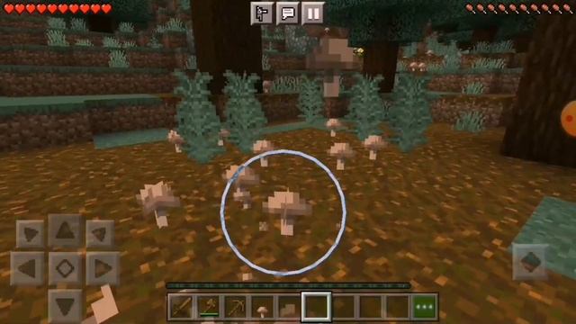 Создание нового мира Minecraft 2 часть.👍👍100%✔️