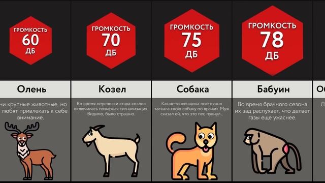 Эти Животные Пукают Громче Всех!