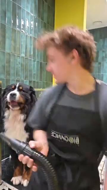 Хозяин и собака поют