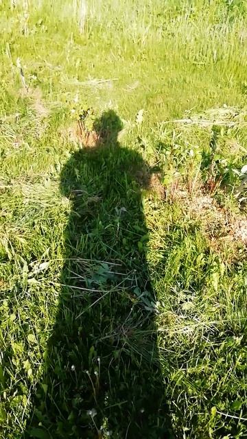 Когда день не задался, сделай его ещё тяжелей.
