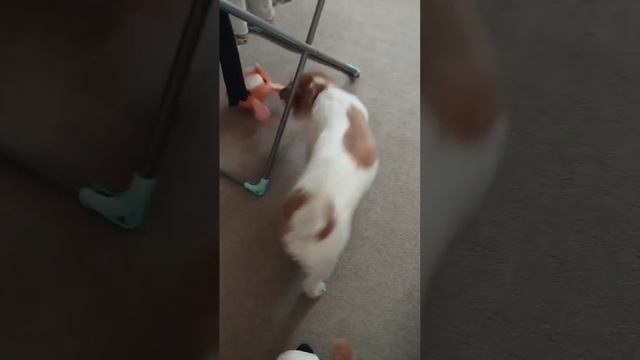 1000559275.mp4