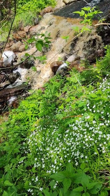 Маленький живой водопад